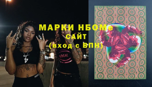 сатива Аркадак